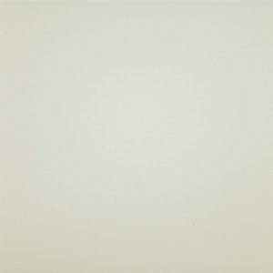 <div align="center">Natural White <br> DM1002</div>